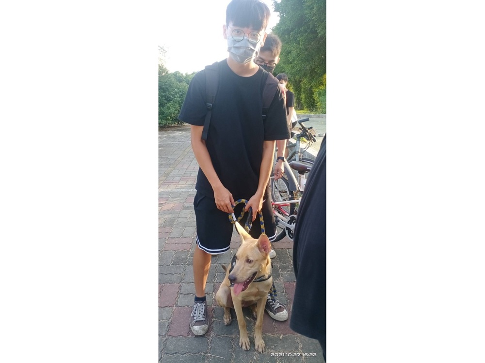 圖片說明