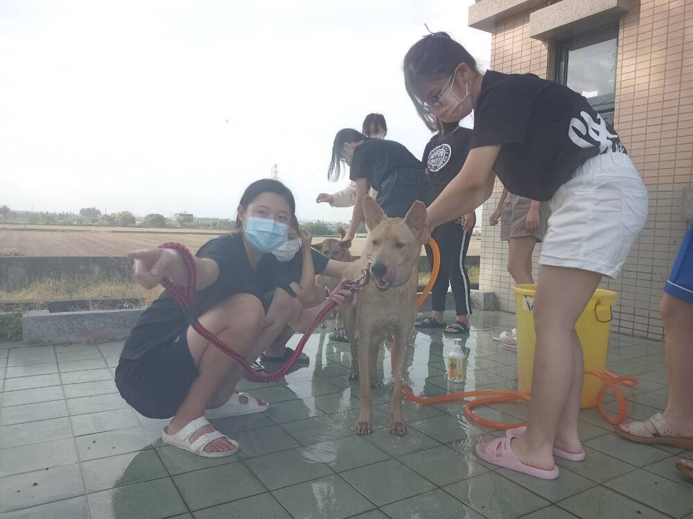 圖片說明
