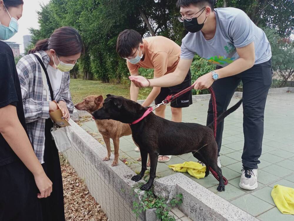 圖片說明