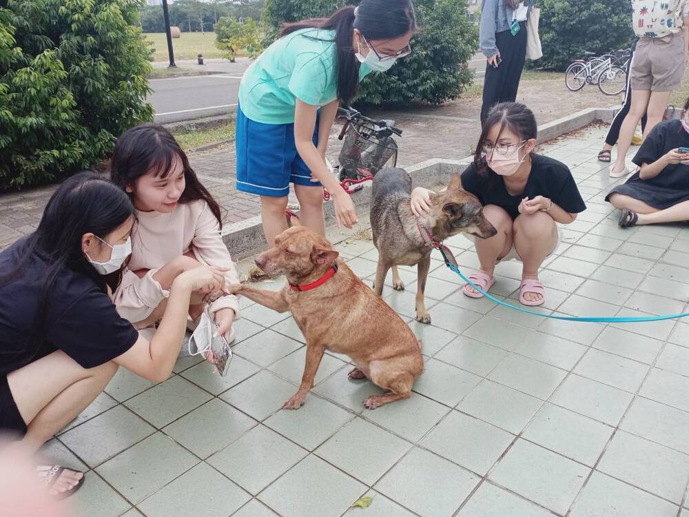圖片說明