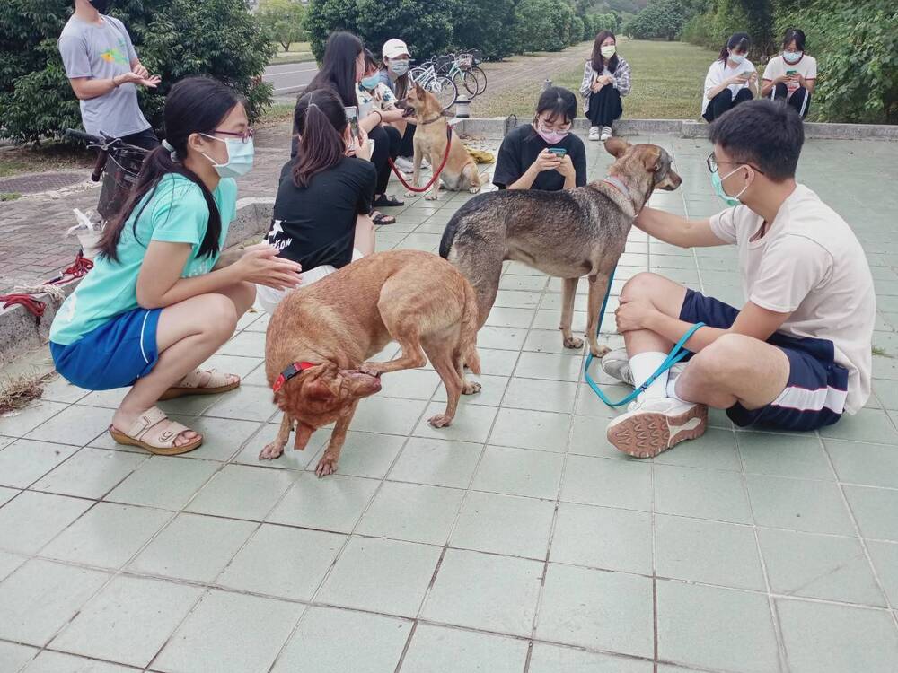 圖片說明