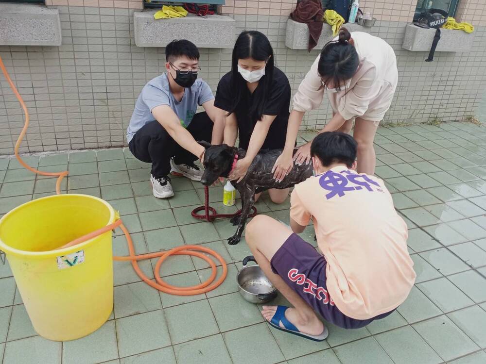 圖片說明
