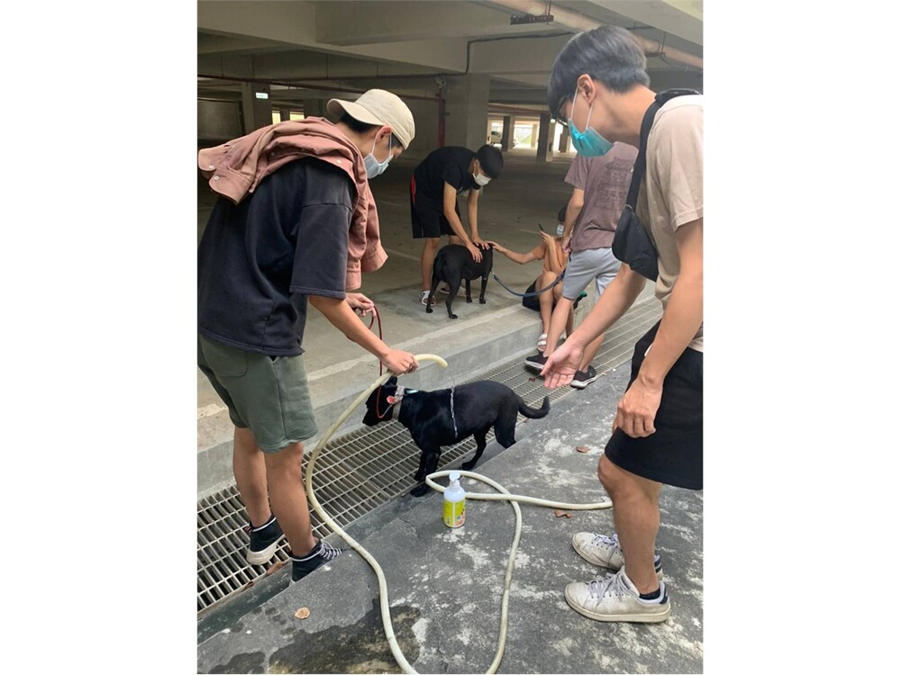 圖片說明
