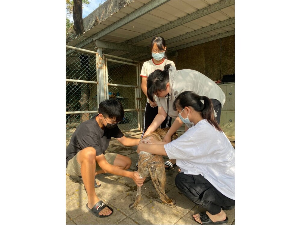 圖片說明