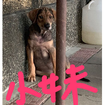 圖片說明