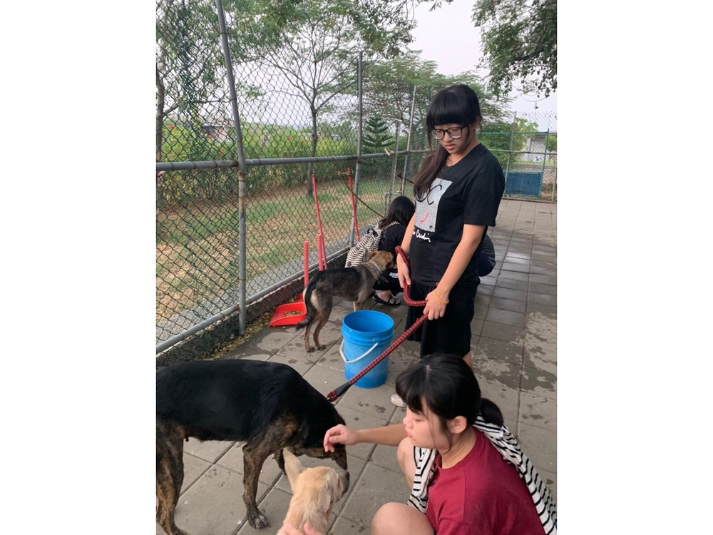 圖片說明