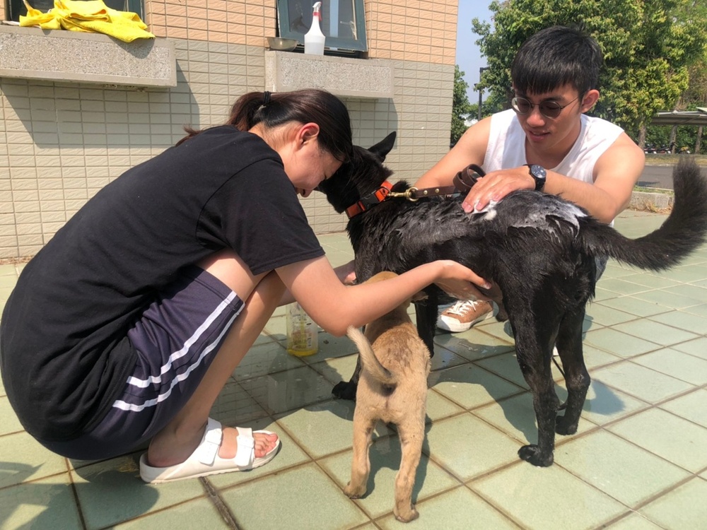 圖片說明