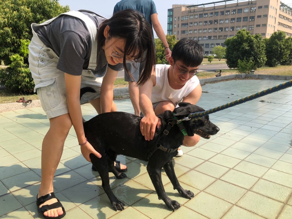 圖片說明