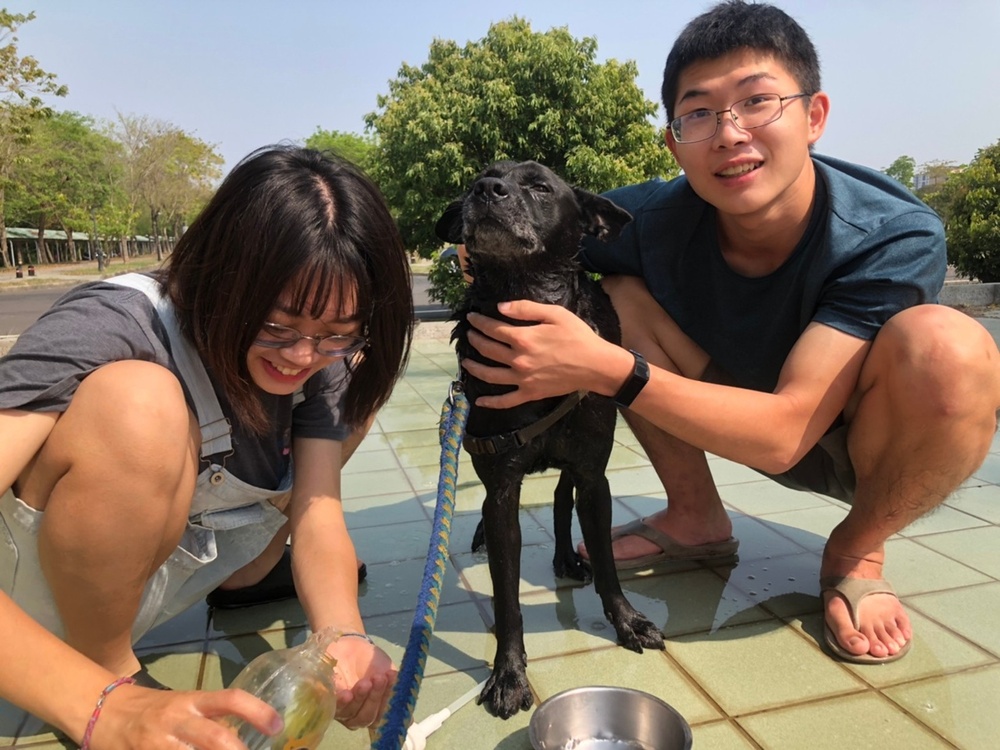 圖片說明