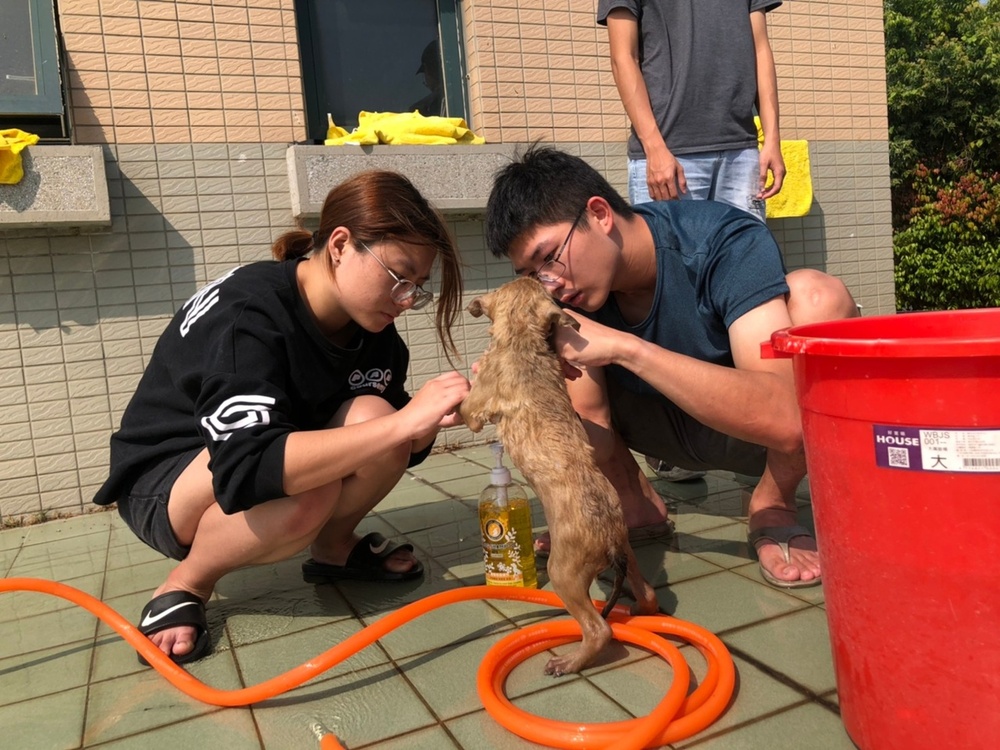 圖片說明