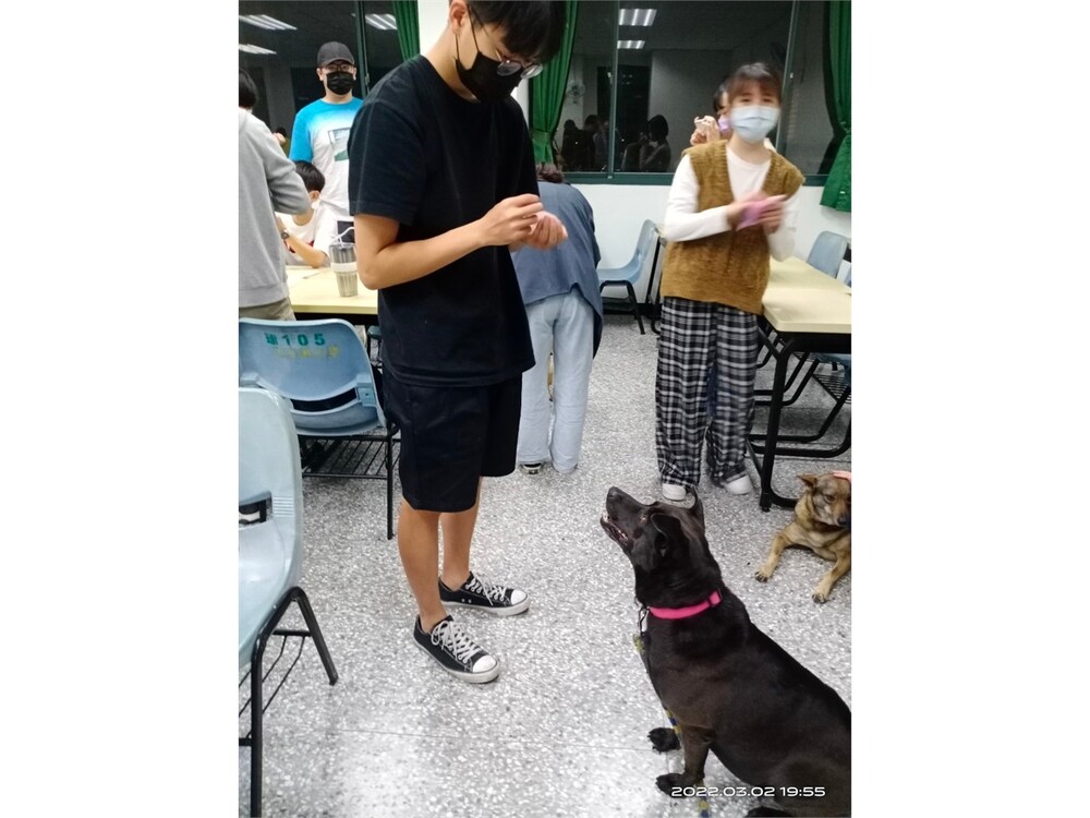 圖片說明