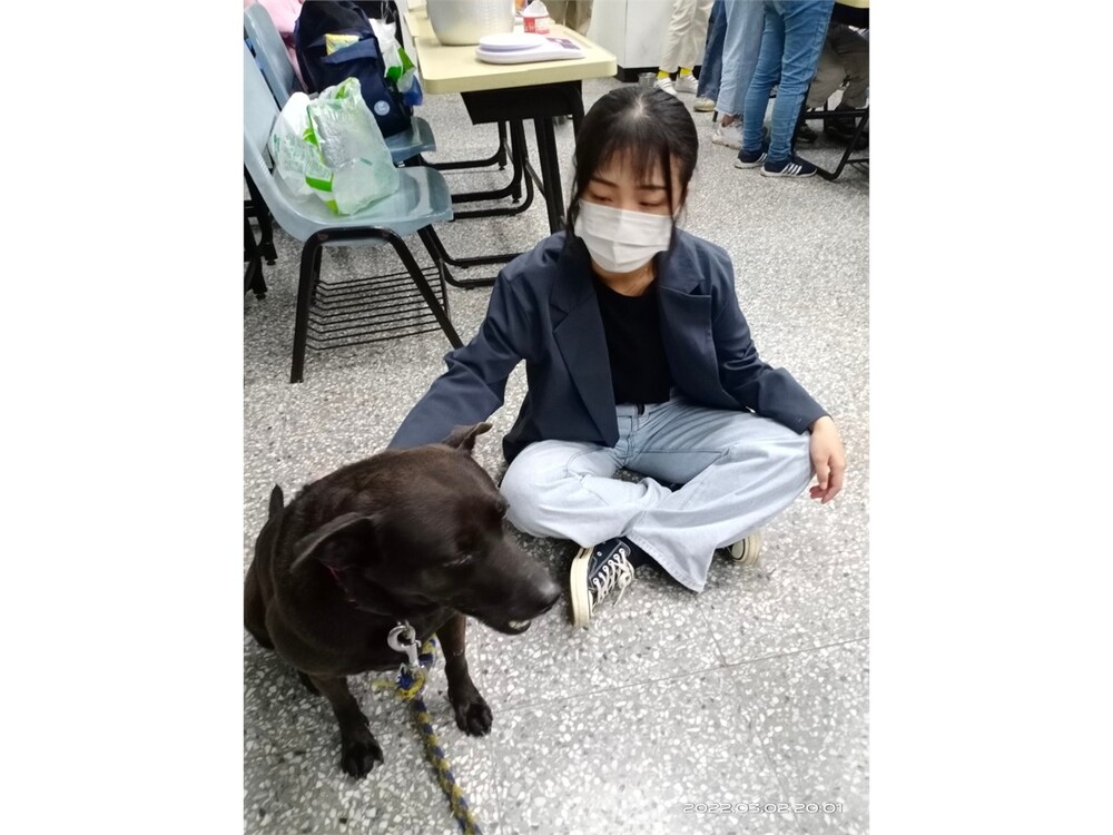 圖片說明