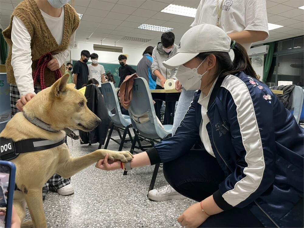 圖片說明