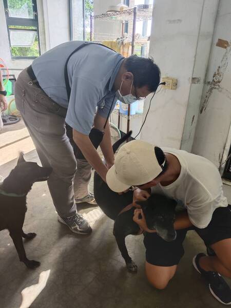 圖片說明