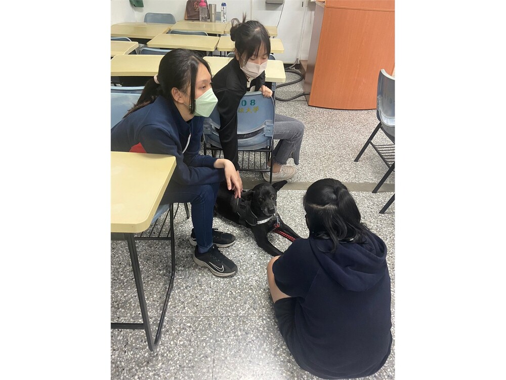 圖片說明