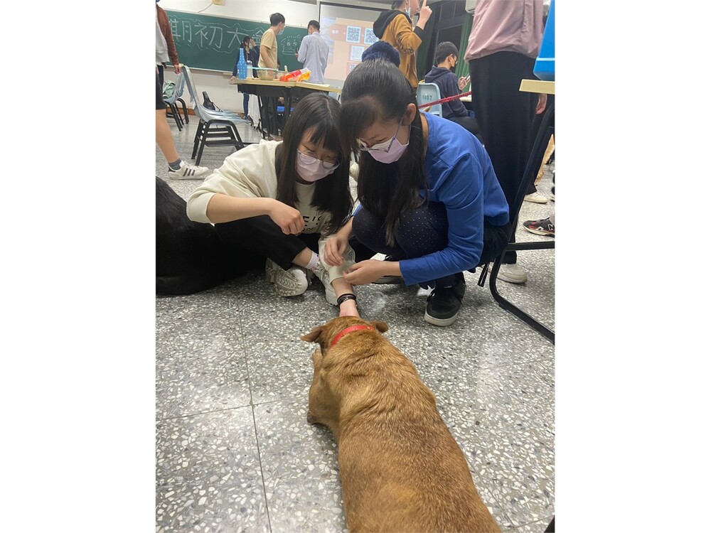 圖片說明