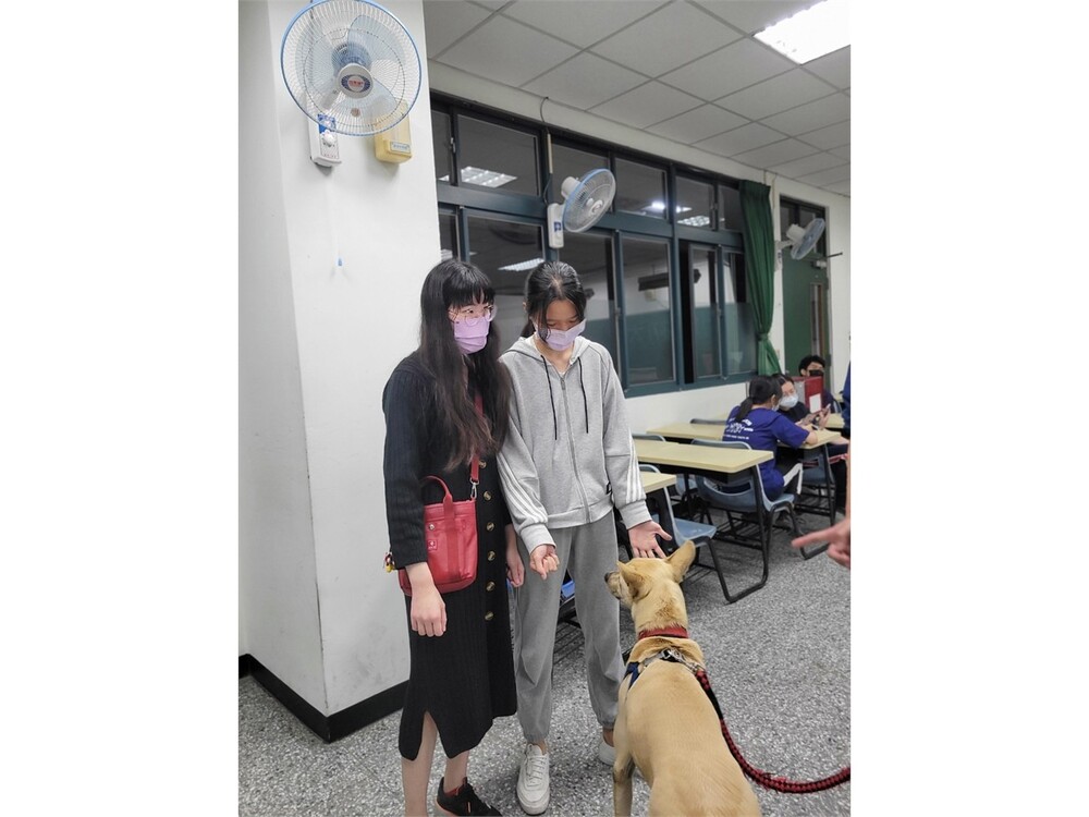 圖片說明
