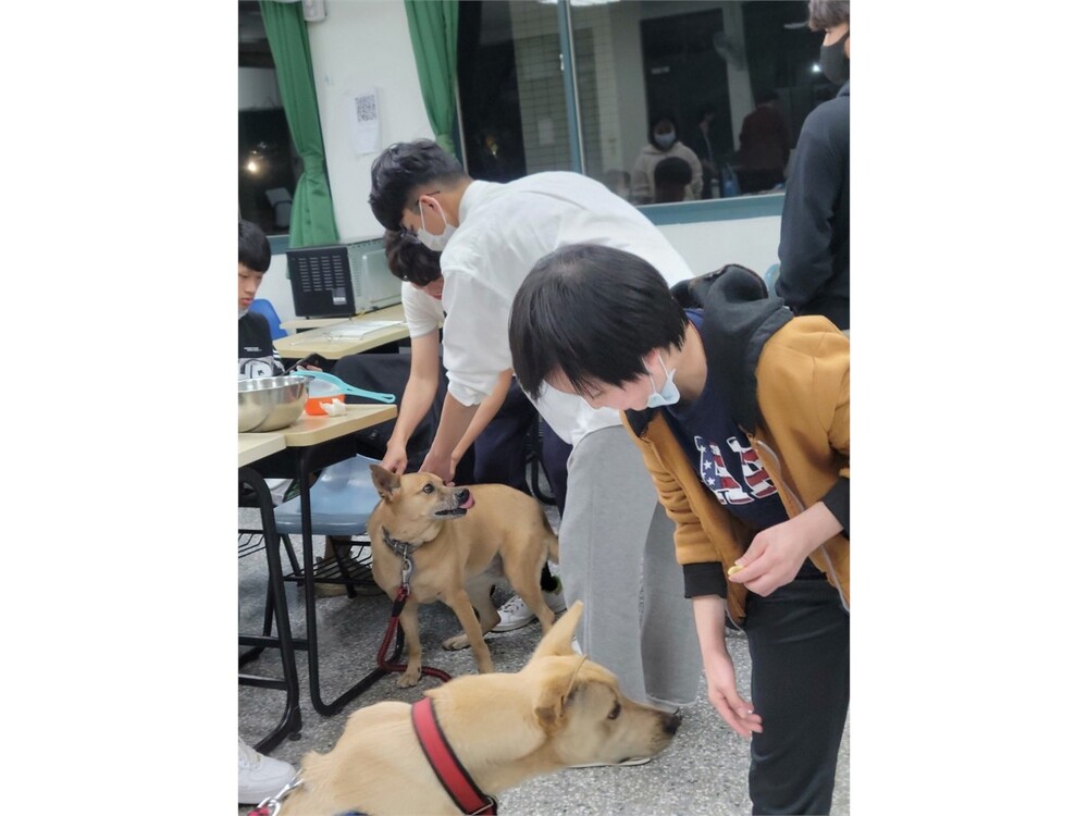 圖片說明