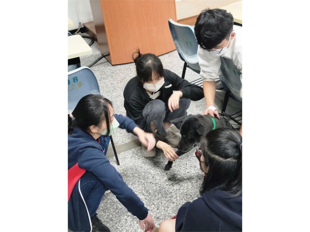 圖片說明