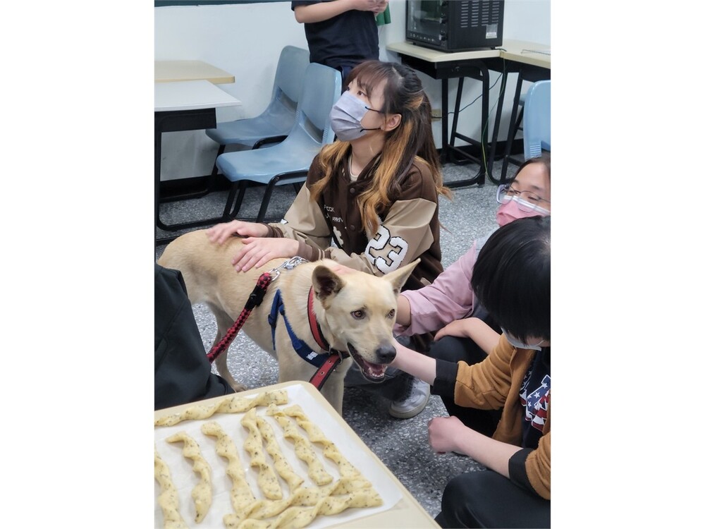 圖片說明