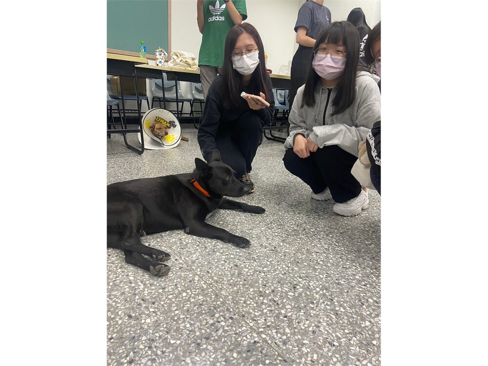 圖片說明
