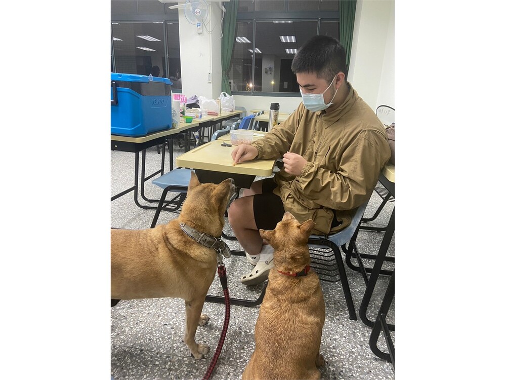 圖片說明