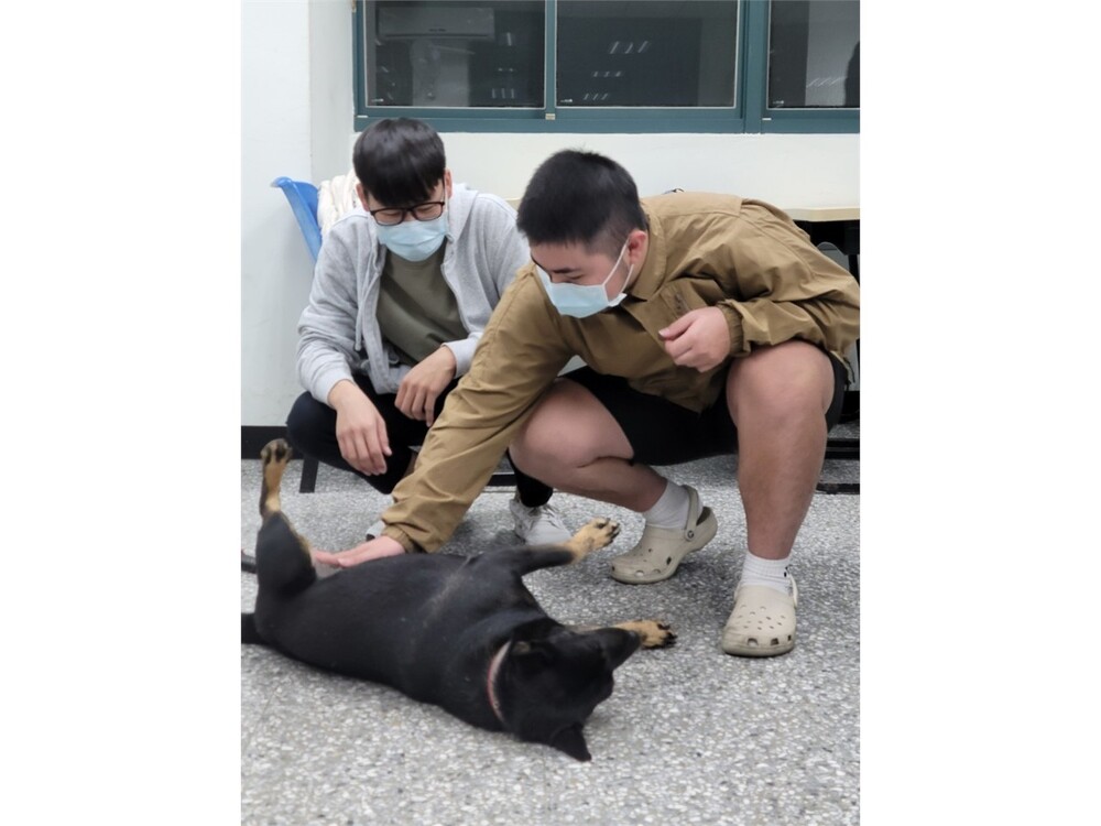 圖片說明
