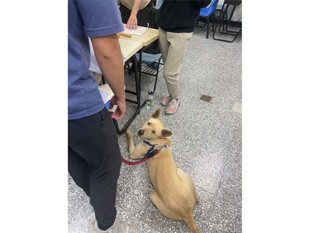 圖片說明