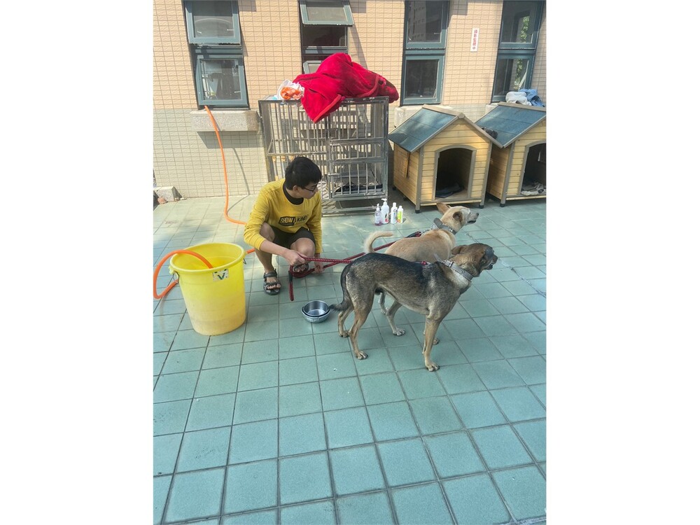 圖片說明