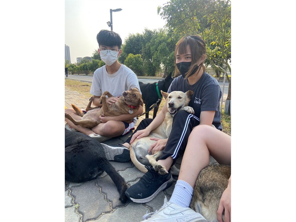 圖片說明