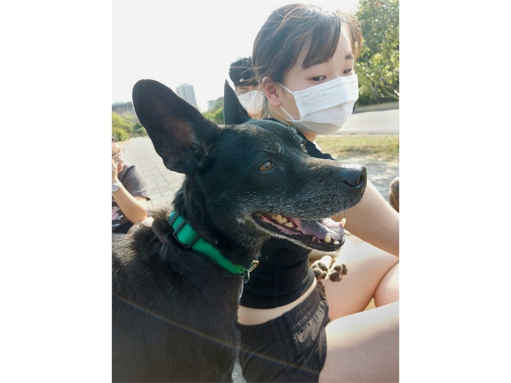 圖片說明