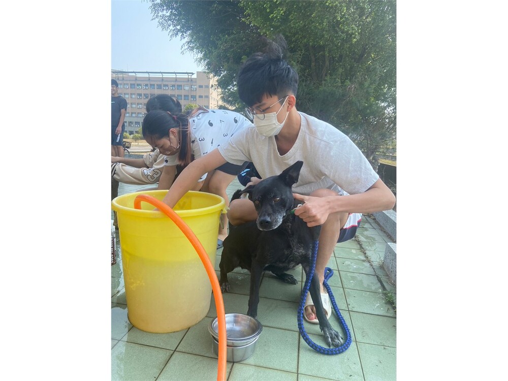 圖片說明
