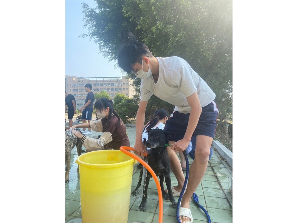 圖片說明