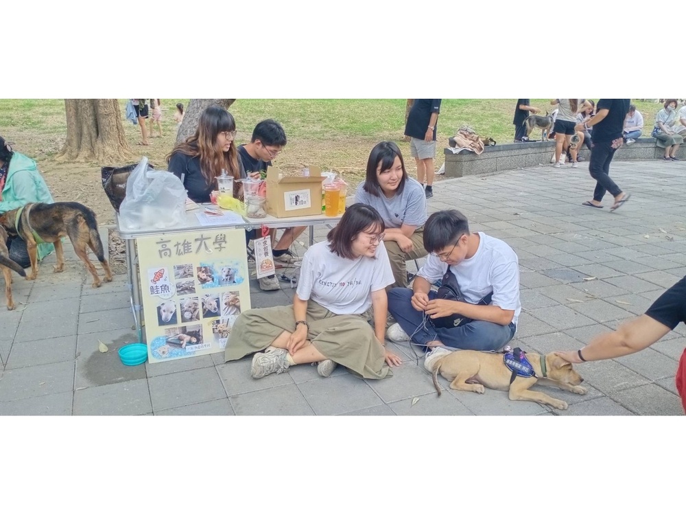 圖片說明