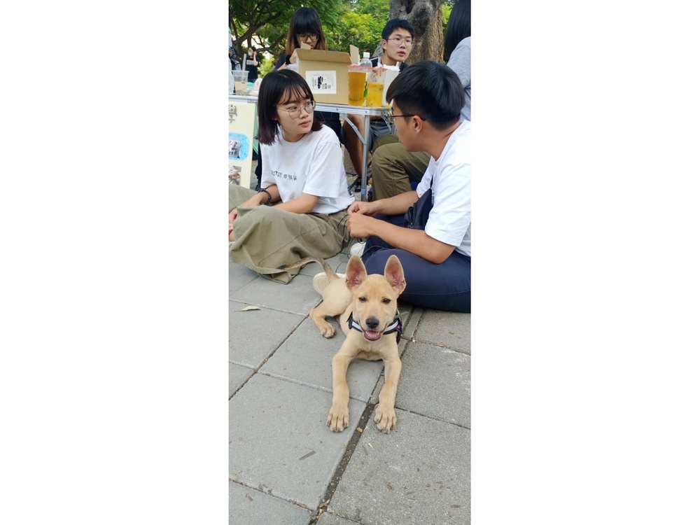 圖片說明