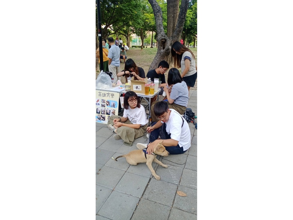 圖片說明