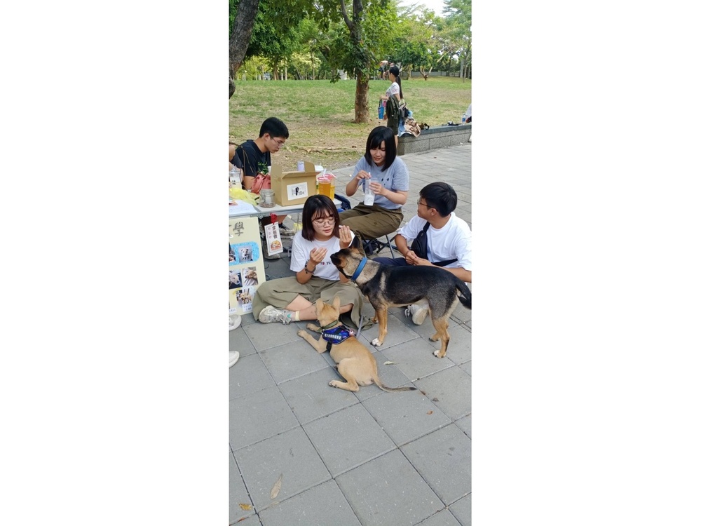圖片說明