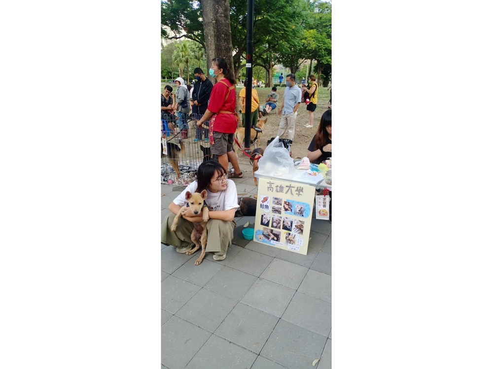 圖片說明