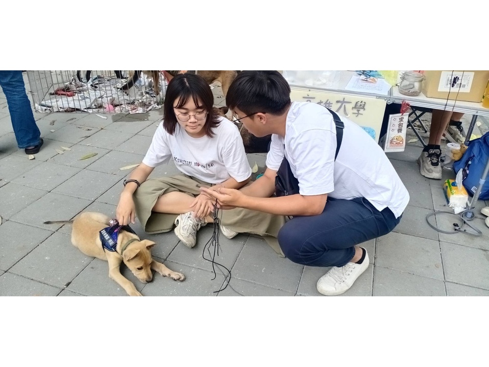 圖片說明