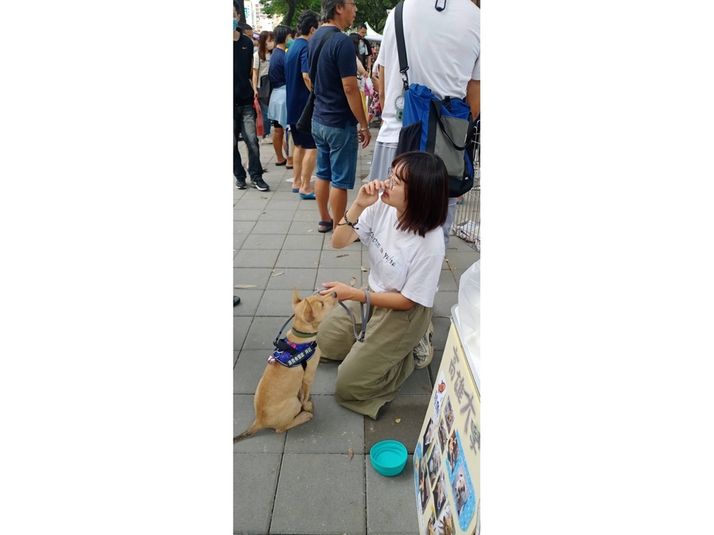 圖片說明
