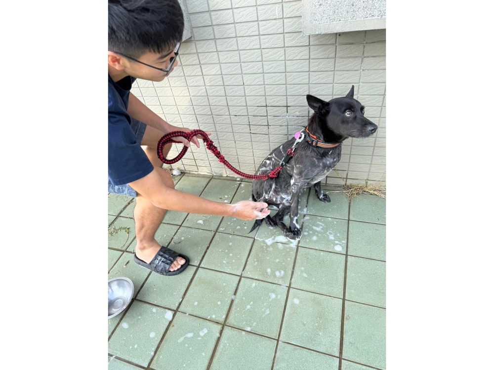 圖片說明