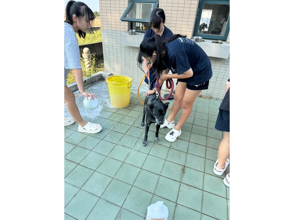 圖片說明