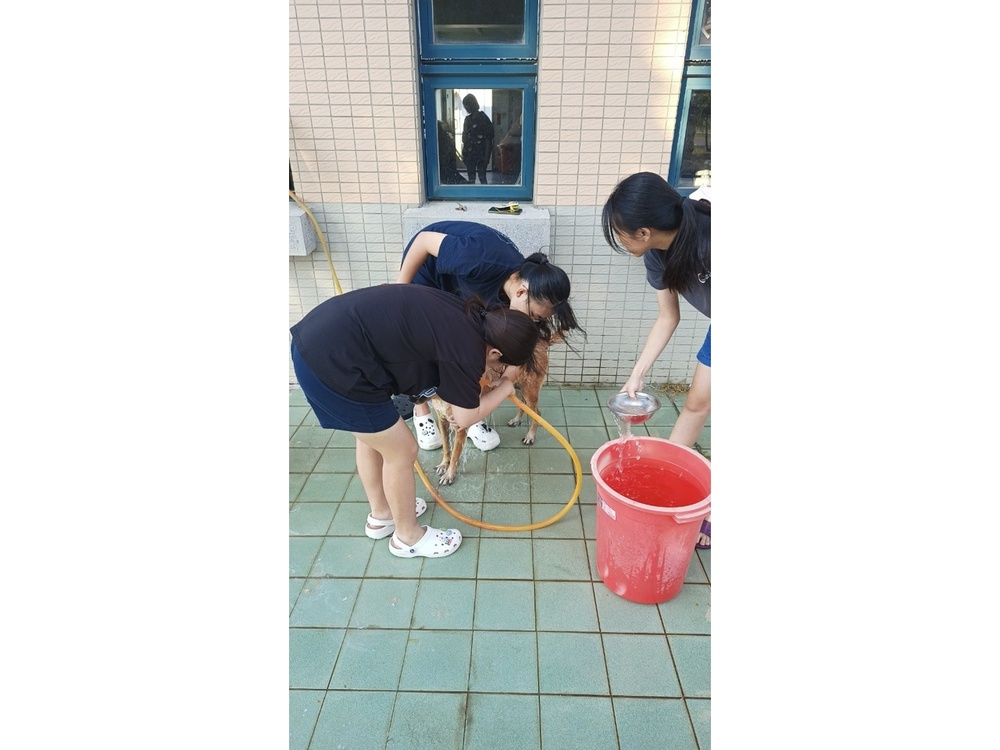 圖片說明