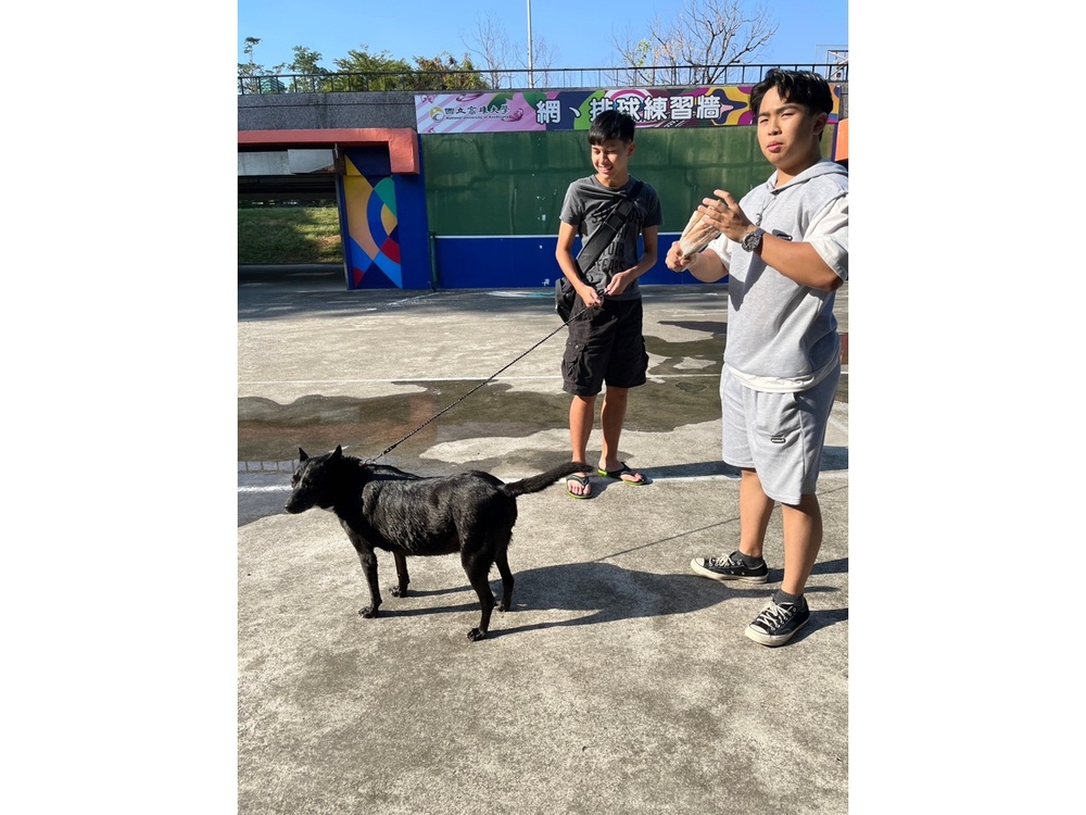 圖片說明