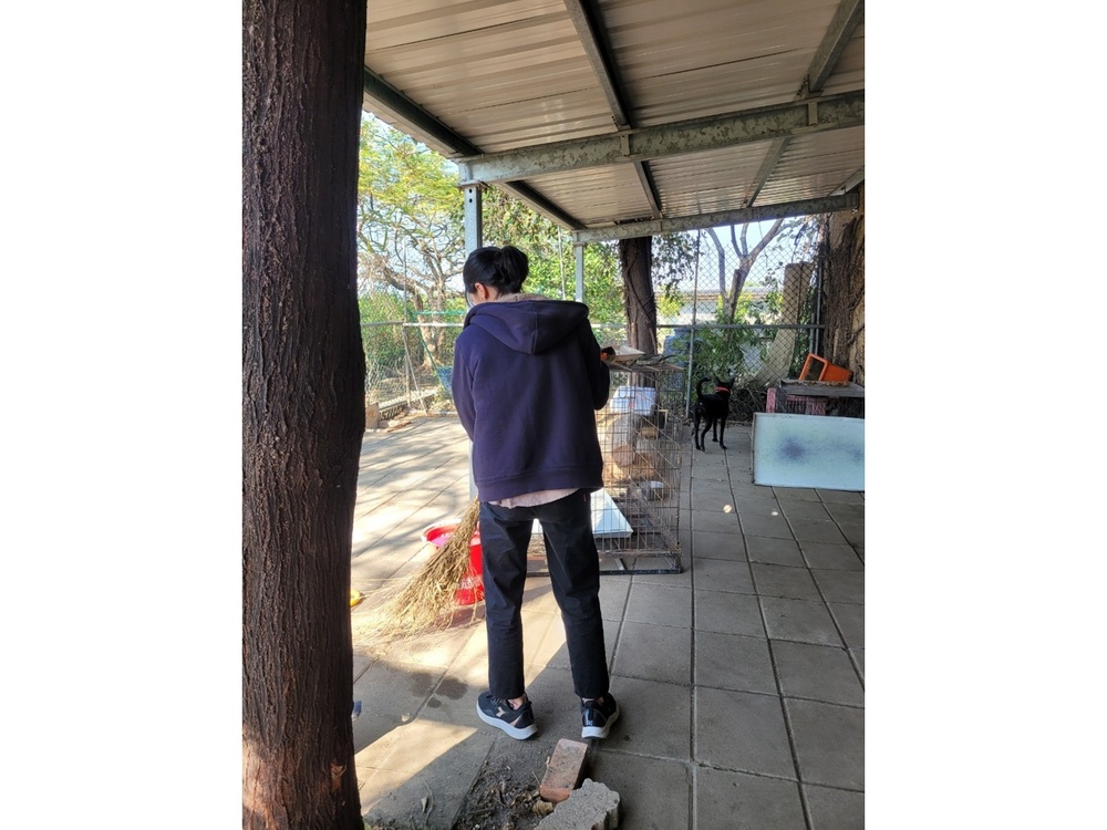 圖片說明