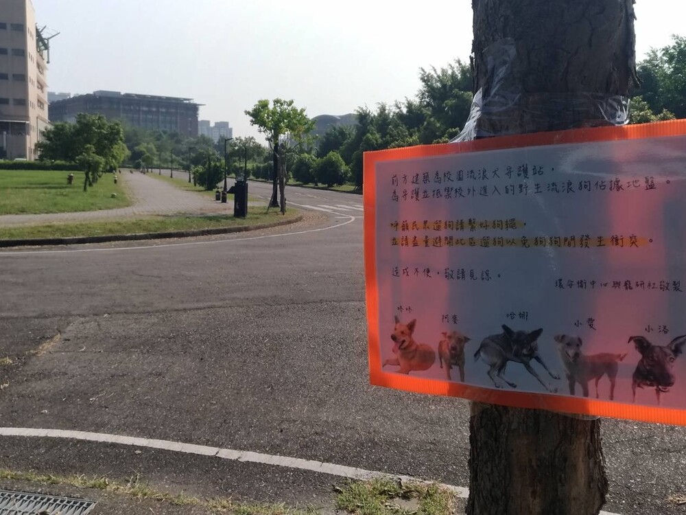 圖片說明