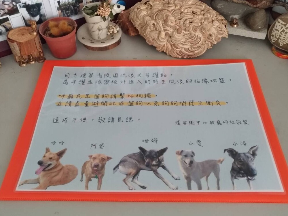 圖片說明