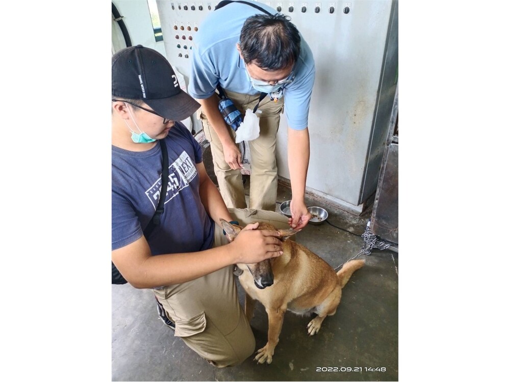 圖片說明