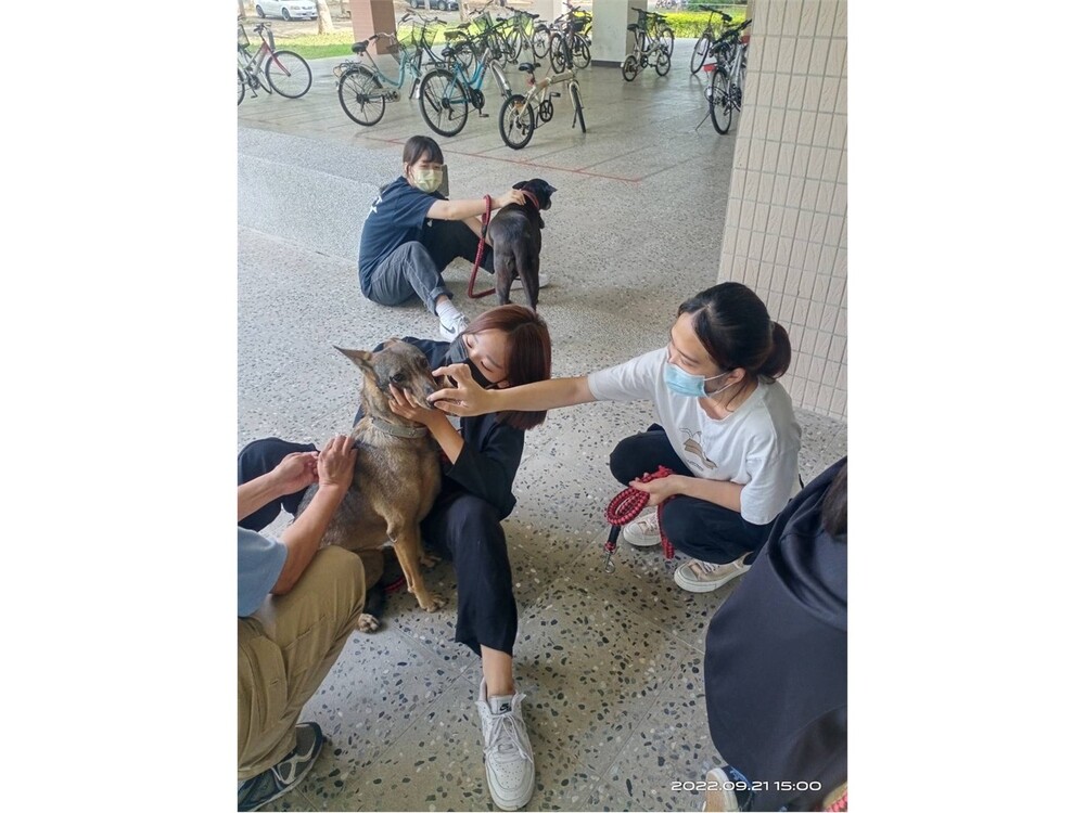 圖片說明