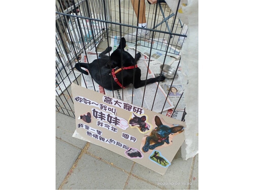 圖片說明